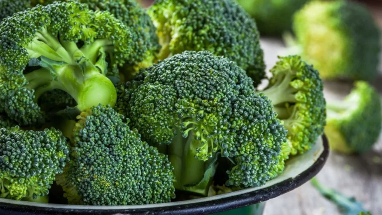 No universo da nutrição e do bem-estar, alguns alimentos se destacam como verdadeiros super-heróis para a nossa saúde. Entre eles, o brócolis reina como um clássico silencioso e extremamente eficaz. Rico em vitaminas, minerais e antioxidantes, este vegetal, muitas vezes subestimado, é um pilar fundamental para quem busca um envelhecimento saudável, a redução de inflamações e o fortalecimento do sistema imunológico. No Studio Sandra Martins em Brasília, acreditamos que a beleza e a saúde da pele começam de dentro para fora. Uma dieta equilibrada é a base para potencializar qualquer tratamento estético. Por isso, preparamos este guia completo, inspirado nas últimas descobertas científicas, para desvendar os incríveis benefícios do brócolis, como prepará-lo da maneira correta para maximizar seus nutrientes e como ele pode ser um aliado poderoso na sua jornada de bem-estar.