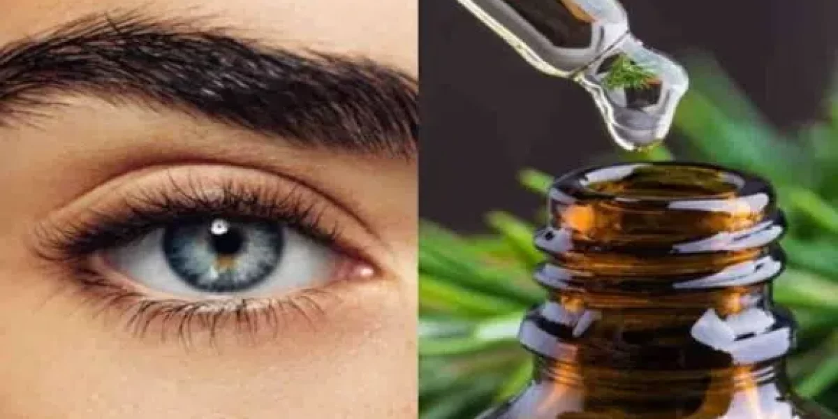 Descubra todos os benefícios colocar óleo de argan nas sobrancelhas | Colocar óleo de argan nas sobrancelhas pode trazer diversos benefícios para a saúde e a aparência.